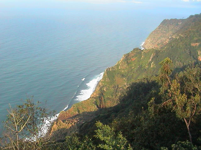 dsc00126.jpg