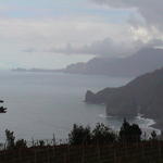 dsc00131.jpg