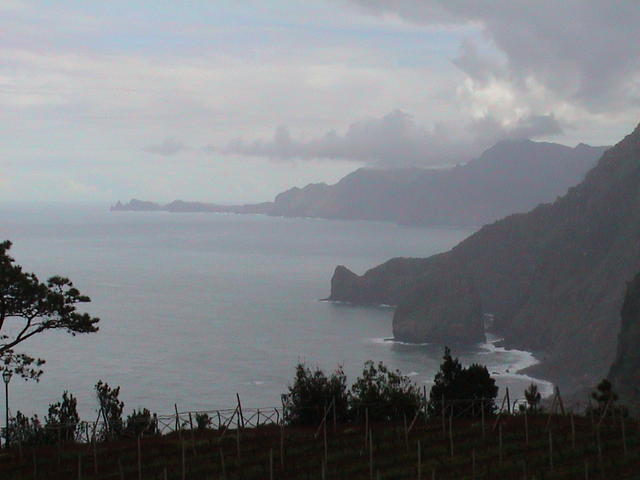 dsc00131.jpg