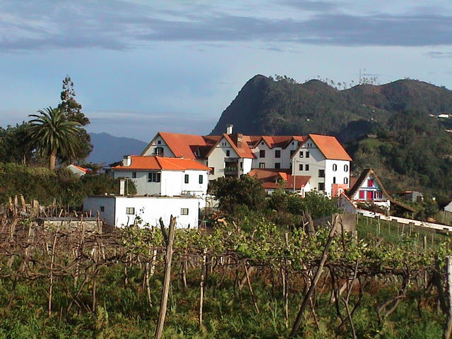 dsc00137.jpg