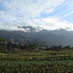 dsc00138.jpg