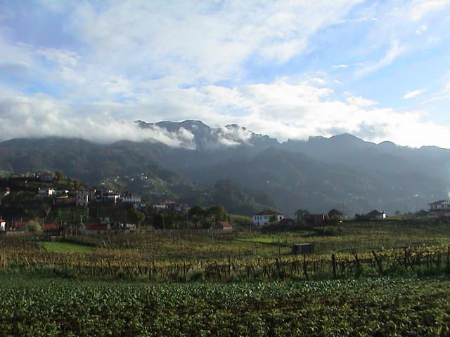 dsc00138.jpg