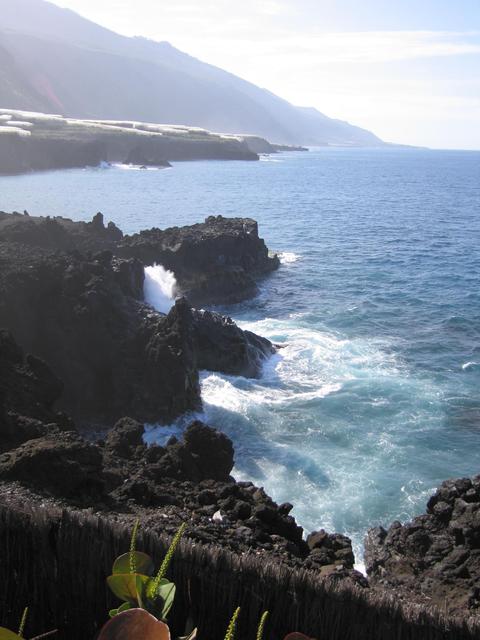 img_4824.jpg
