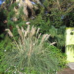 img_4826.jpg