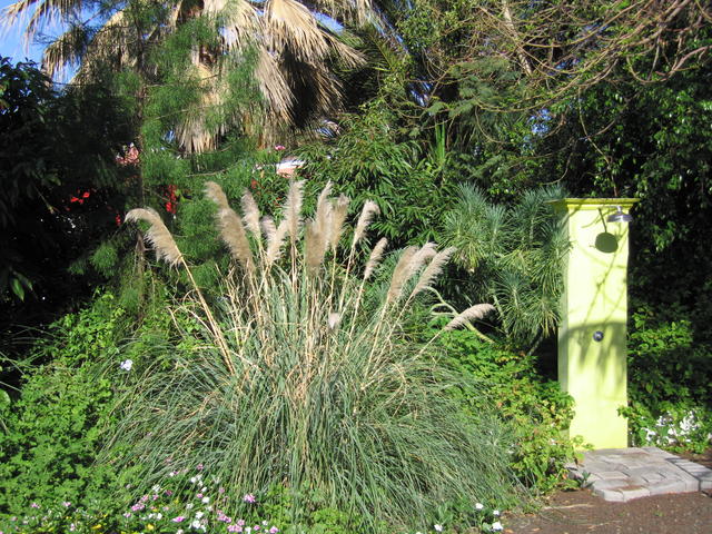 img_4826.jpg