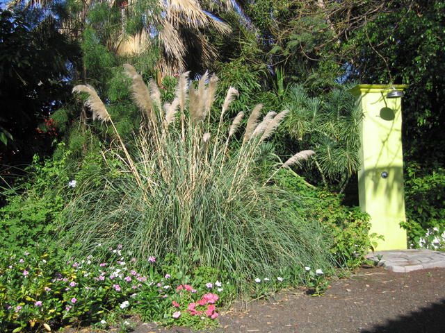 img_4827.jpg