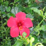 img_4828.jpg