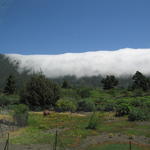 img_4832.jpg