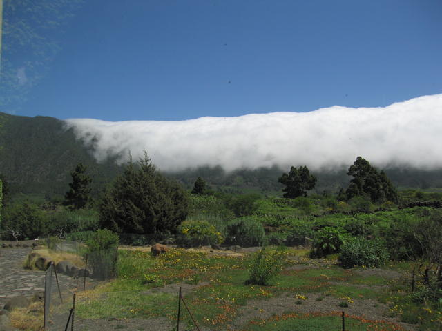 img_4832.jpg