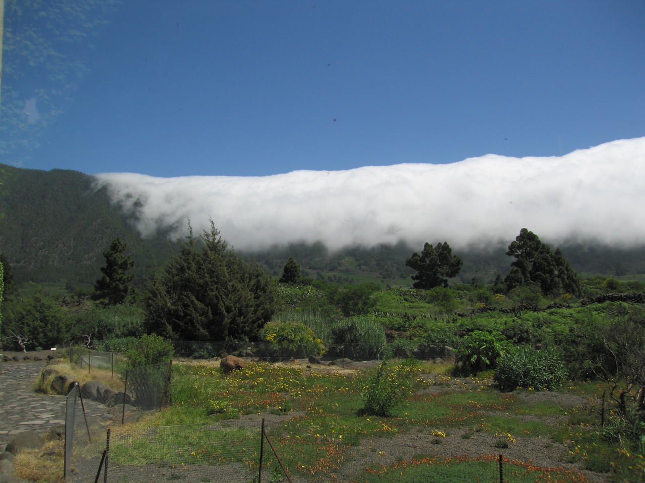 img_4832.jpg