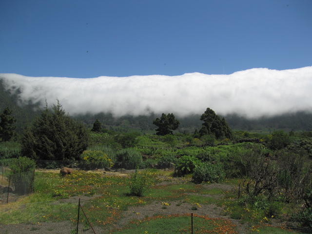 img_4833.jpg