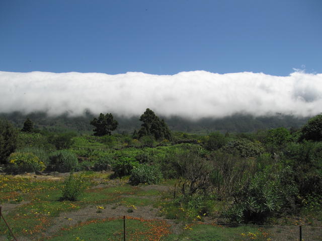img_4834.jpg