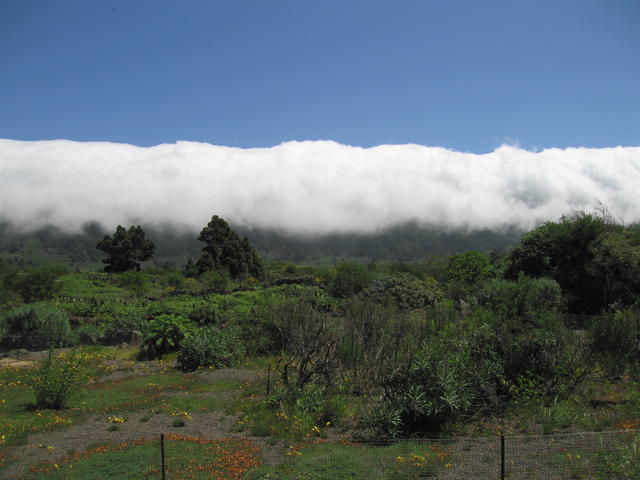 img_4835.jpg