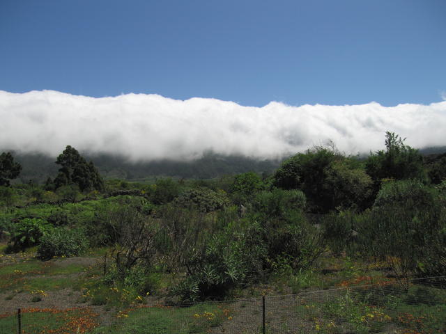 img_4836.jpg