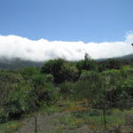img_4837.jpg