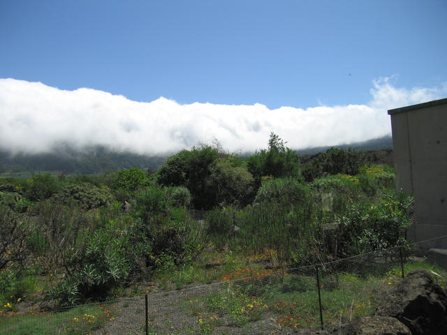 img_4837.jpg
