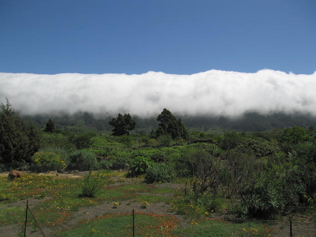 img_4838.jpg