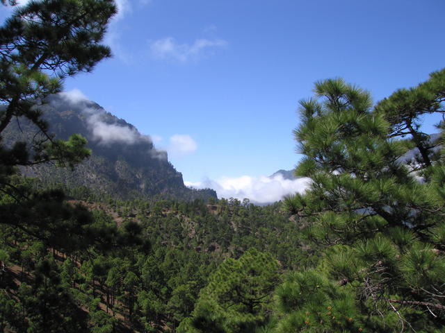 img_4839.jpg