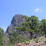 img_4840.jpg