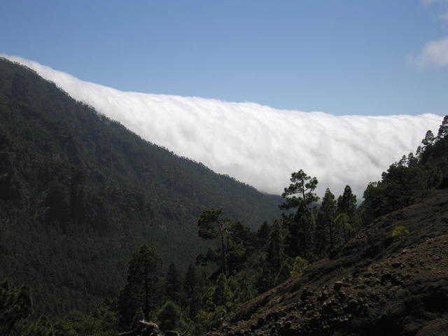 img_4841.jpg
