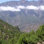img_4842.jpg