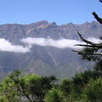 img_4846.jpg