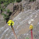 img_4848.jpg