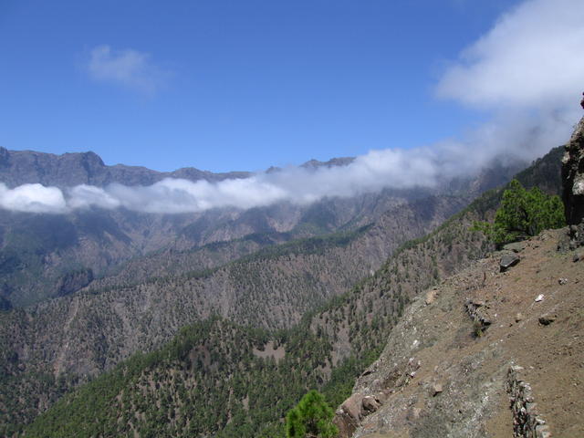 img_4849.jpg