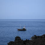 img_4856.jpg