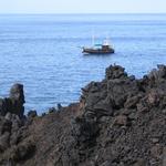 img_4857.jpg