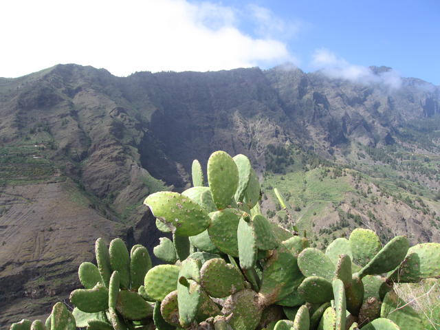img_4873.jpg