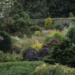 Bild033