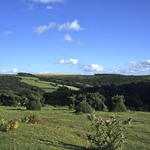 Bild040