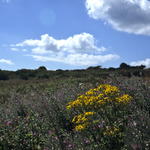 Bild048