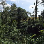 Bild059