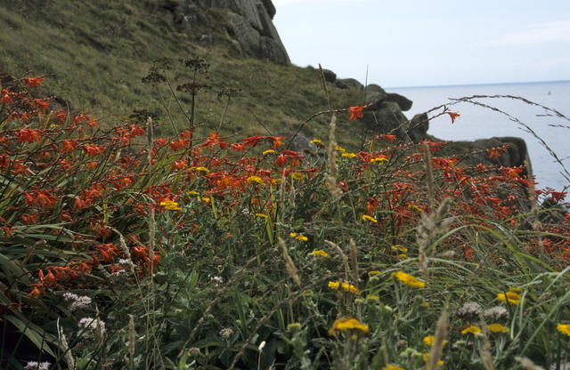 Bild066