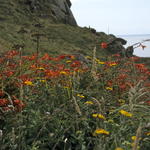 Bild066