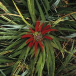 Bild071