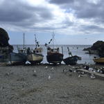 Bild090