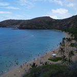 DSCN0226