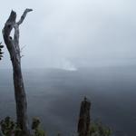 DSCN0260