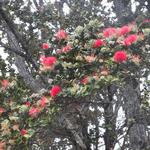 DSCN0264