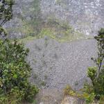 DSCN0265