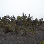 DSCN0269