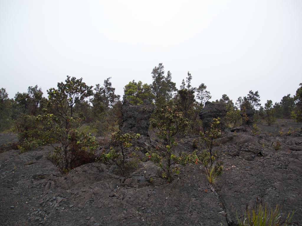 DSCN0269