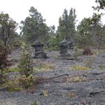 DSCN0270