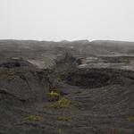 DSCN0275