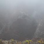 DSCN0277