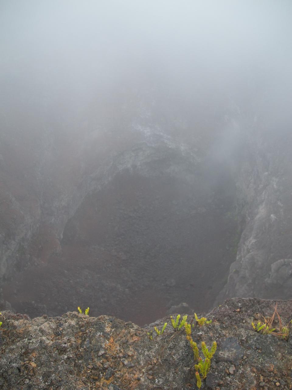 DSCN0277