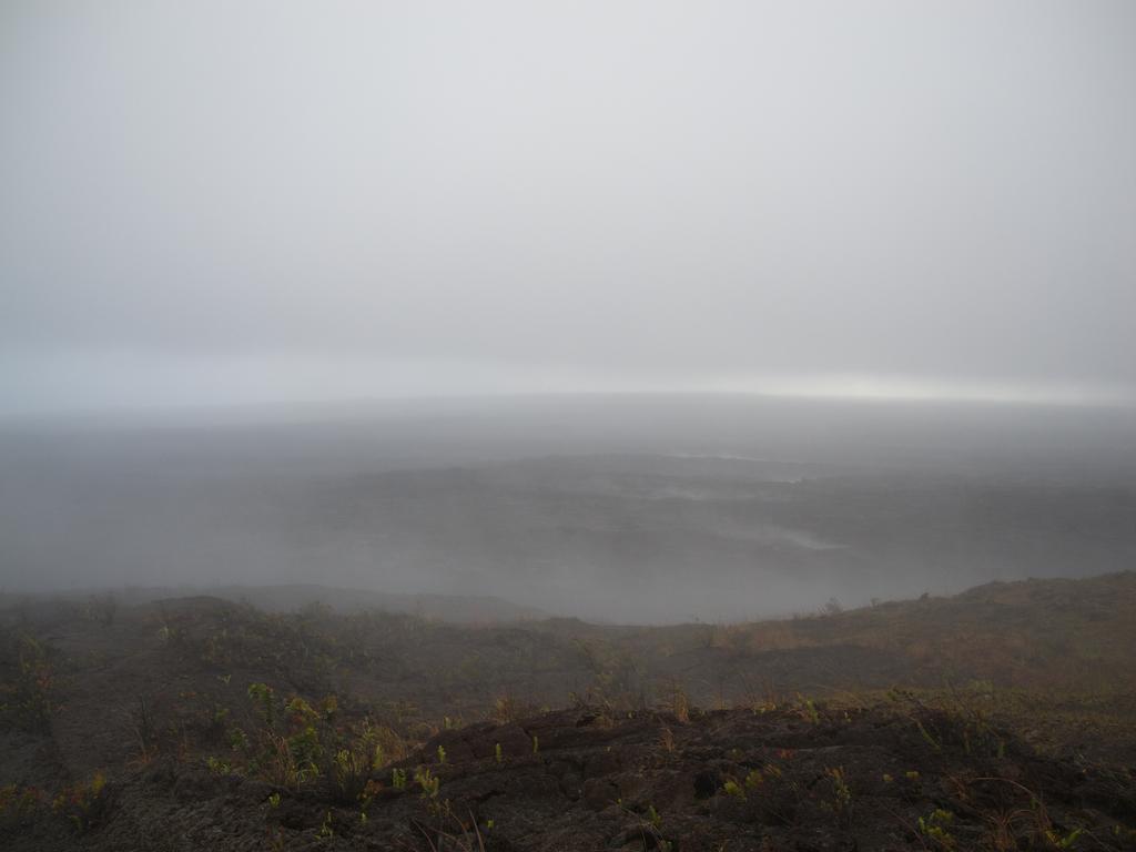 DSCN0279